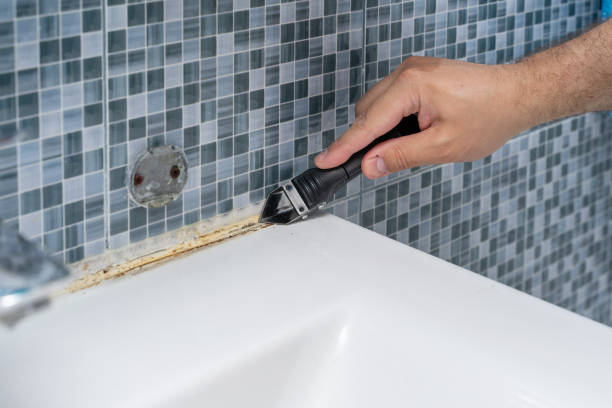 Best Toxic Mold Removal  in Ogdensburg, NY
